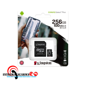 SDCS2/256GB